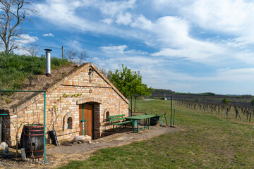 wine cellar, Palava region, South Moravia, Czech Republic