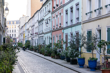 Deserted Parisian street with rows of potted trees in the morning