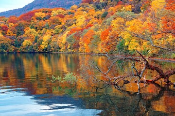 Fall scenery of beautiful Towada Lake (十和田湖) with colorful autumn trees on lakeside mountains reflected in the peaceful water, in Towada Hachimantai National Park (十和田八幡平国立公園), Aomori, Japan