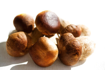 Fresh wild porcini mushrooms on the table surface close-up, soft selective focus