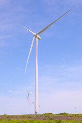 Fototapeta premium Wind turbines against the backdrop of a sunny sky. Green ecological energy generation. Eco field wind farm