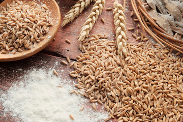 wheat grain and wheat