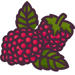 raspberry line icon