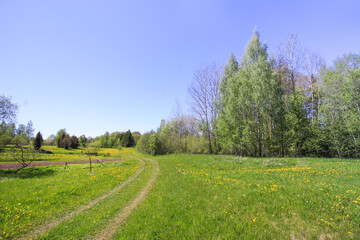 Fototapeta na wymiar Spring landscape in the countryside. 