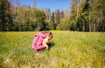 Little girl collects dandelion flowers on a spring meadow. 