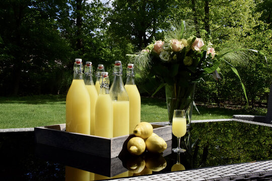 Selective Of Homemade Limoncello In A Garden