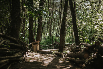 Beautiful shot of a muddy road in the forest with tree trunks and green on both sides