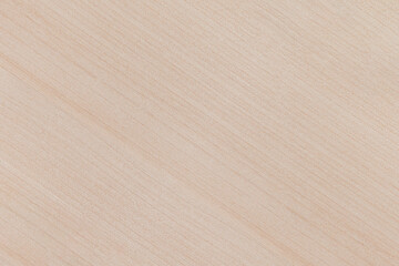 The texture of the birch board. Background and texture of light wood. Board of natural wood...