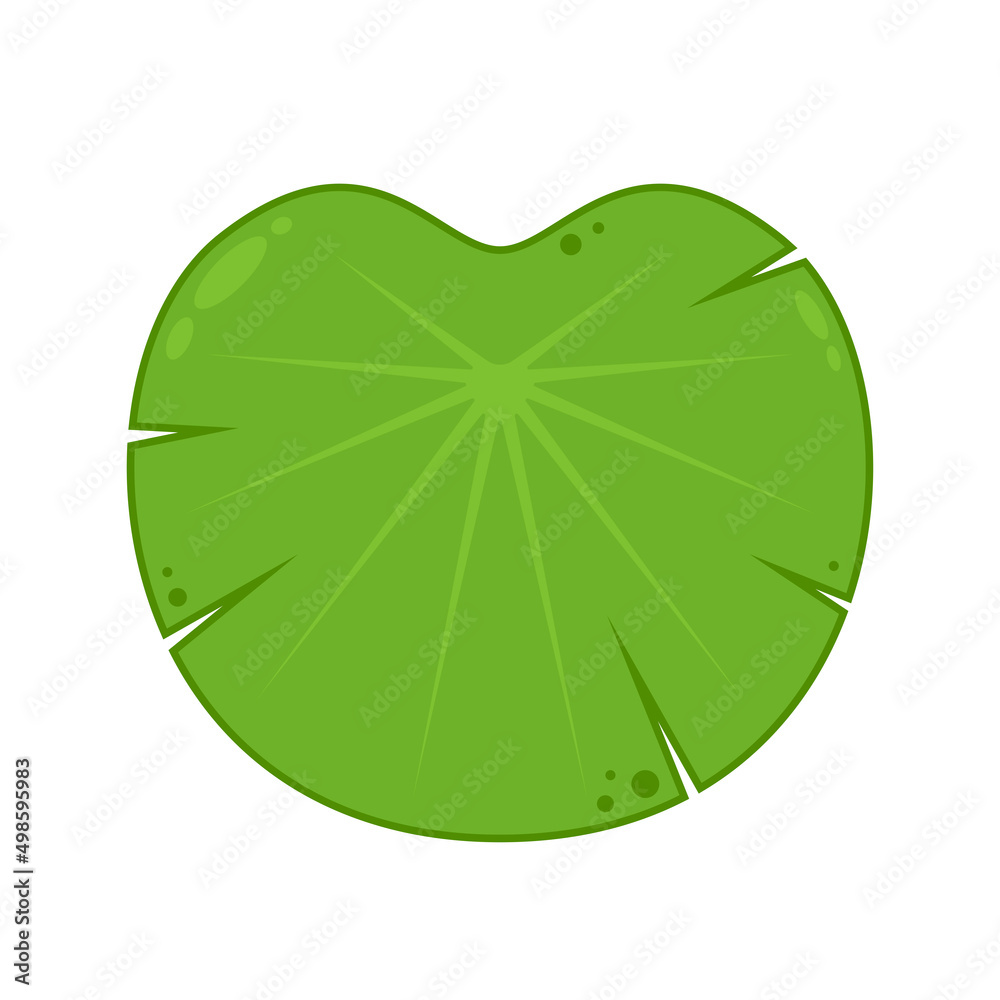 Wall mural Lily pad vector. Lily cartoon vector on white background.