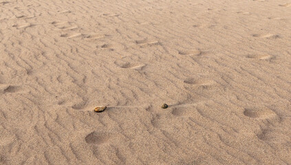 Great Sand Dunes National Park and Preserve in Colorado. Sandy background