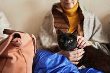 Portrait of anonymous senior woman holding loved pet cat in refugee shelter, copy space