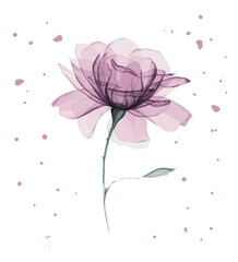 Abstract art flowers. Luxury minimalist flower in watercolor