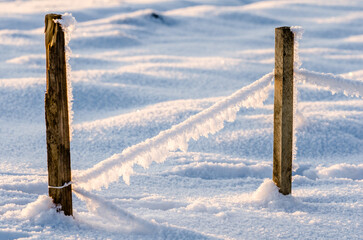 Fototapeta Photo of two wooden poles in snow obraz