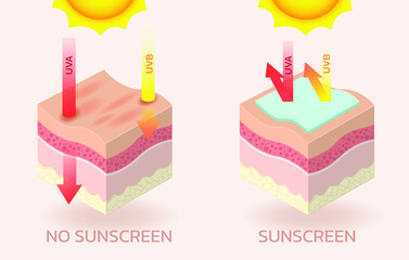skin concerning the use of sunscreen.vector for sunscreen advertising.summer protection cream