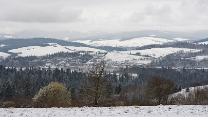 Monochrome winter landscape of Pieniny mountains in Poland - 498603348
