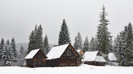 Group of old wooden huts in a clearing of spruce forest in winter - 498603399