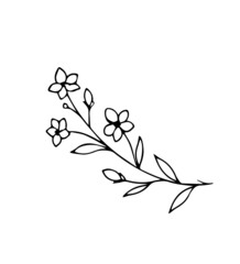 Branch on a white background. Twig-Doodle style. Vector isolated illustration with leaves. Printing on paper, fabrics, dishes, posters, mugs. Leaves are a separate element. Hand drawing. Nature.