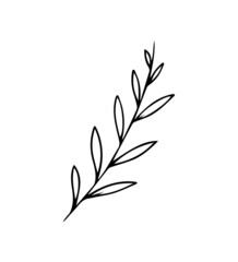 Branch on a white background. Twig-Doodle style. Vector isolated illustration with leaves. Printing on paper, fabrics, dishes, posters, mugs. Leaves are a separate element. Hand drawing. Nature.