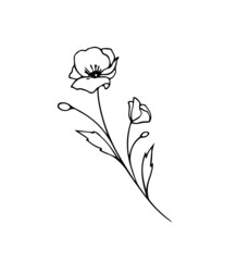 Minimalistic floral graphic sketch drawing, trendy tiny tattoo design, floral botanical elements vector illustration