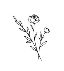 Minimalistic floral graphic sketch drawing, trendy tiny tattoo design, floral botanical elements vector illustration