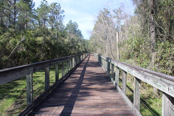 Bayou Marcus Birding Trail Pensacola FL. 