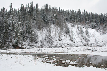 Snow covered forest and stream in winter in Polish mountains - 498605363