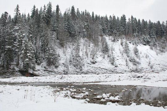 Snow covered forest and stream in winter in Polish mountains