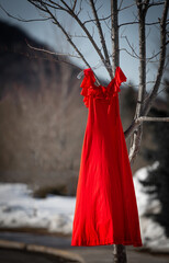 Vertical shot of a red dress hanging from a branch of a tree - obrazy, fototapety, plakaty