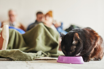 Portrait of little black cat eating from bowl in refugee shelter with family in background, copy...