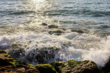 Mediterranean coast in southern Israel near the city of Ashkelon