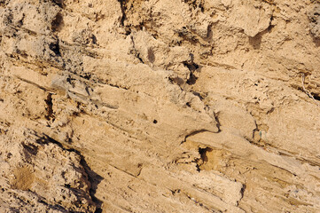 Porous texture of the sandstone on the seashore