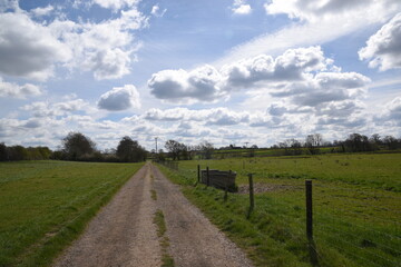a farm track going though the fields