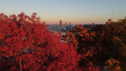 Beautiful view of a cityscape with autumn trees in Pittsburgh, PA