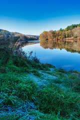 Vertical shot of a lake surrounded by autumn trees in Pittsburgh, PA