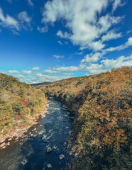 Beautiful view of an autumn landscape with a river in Pittsburgh forest