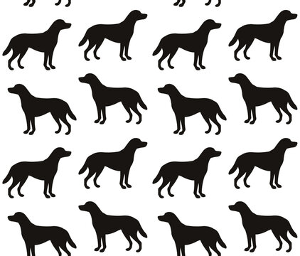 Vector seamless pattern of flat labrador dog silhouette isolated on white background
