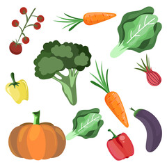 various kinds of vegetables  vector .isolated on white background ,Vector illustration EPS 10