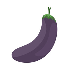 Eggplant vegetable vector .isolated on white background ,Vector illustration EPS 10