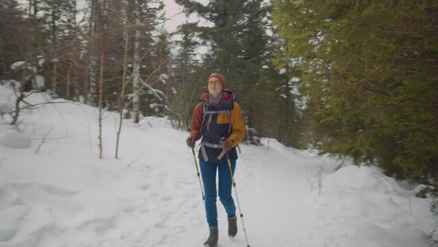 Tilt down wide shot of female tourist with backpack and trekking poles walking through mountain forest while hiking in winter