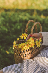 Fototapeta na wymiar Yellow daisies in straw bag on summer background. Summer concept