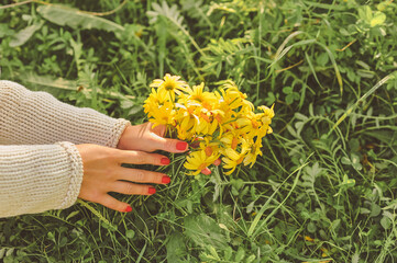 Close up photo of womans hands holding a bouquet of yellow daisies outdoor on grass background. Copy spase for text