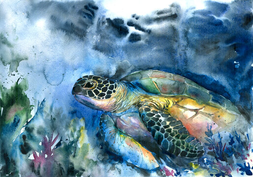 Watercolor vivid marine illustration underwater sea turtle animal cover trend advertising cute crisp tropical painted picture print background.