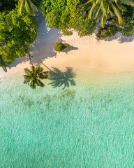 Top view of beach nature concept. Beautiful palm beach in tropical idyllic paradise island. Exotic landscape for dreamy and inspirational summer vacation scenic use for travel background or wallpaper