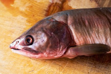cut into pieces frozen salmon or salmon fish lies on a wooden board covered in blood head nearby
