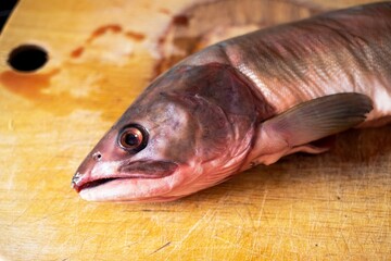cut into pieces frozen salmon or salmon fish lies on a wooden board covered in blood head nearby