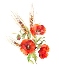 Red poppy flowers, wheat stems bouquet. Watercolor summer poppies illustration for Memorial, Anzac day - obrazy, fototapety, plakaty
