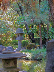 japanese garden