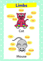 Worksheet on animals and their limbs