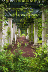 Pergola with white columns and green roof with virginia creeper plant