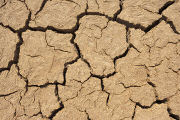 A dry, lifeless, barren clay land cracked in the African desert during global warming and climate change. A hot surface during drought is destroyed, eroded and textured. Copy space, background.